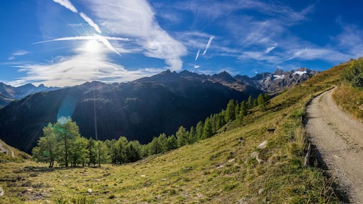 Sautens