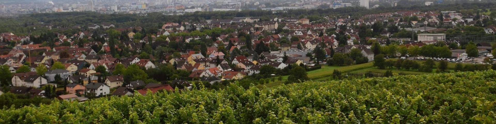Haltingen