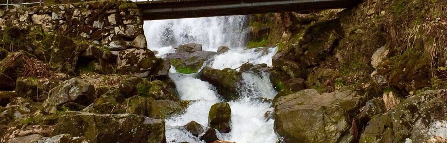 Amazing waterfalls located in the black forest. Easy to find and just a short way by foot.