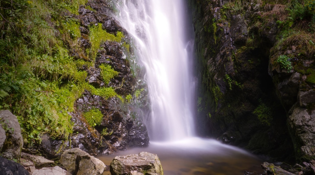 Perfect for walking around and seeing some nature.