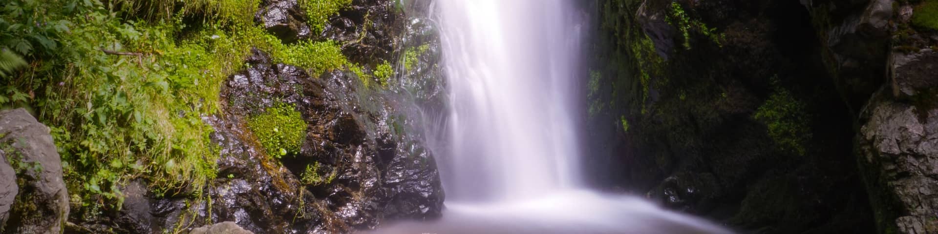 Perfect for walking around and seeing some nature.