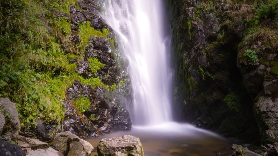 A waterfall cascading over rocks in a lush, green forest.