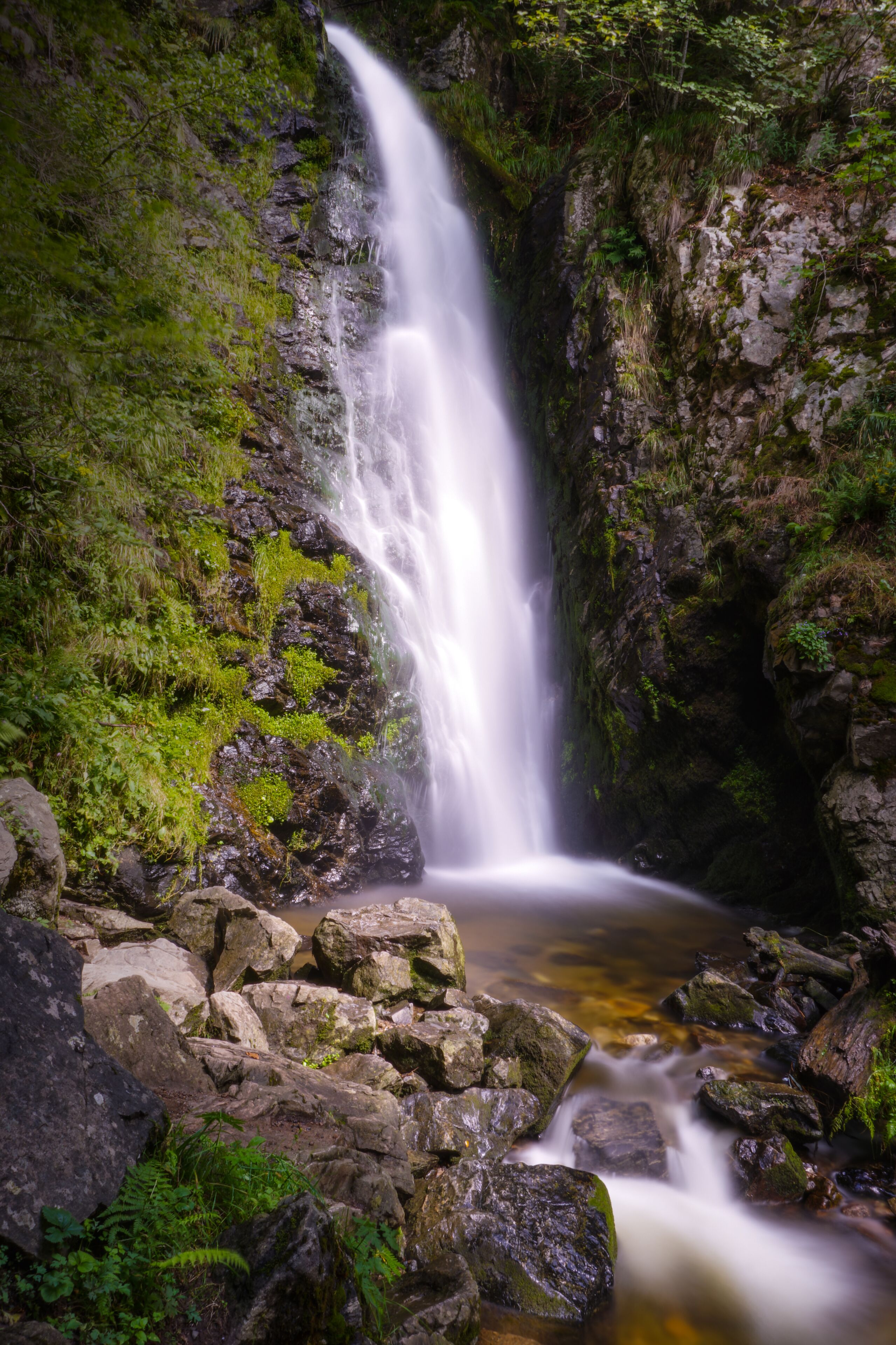 A waterfall cascading over rocks in a lush, green forest.