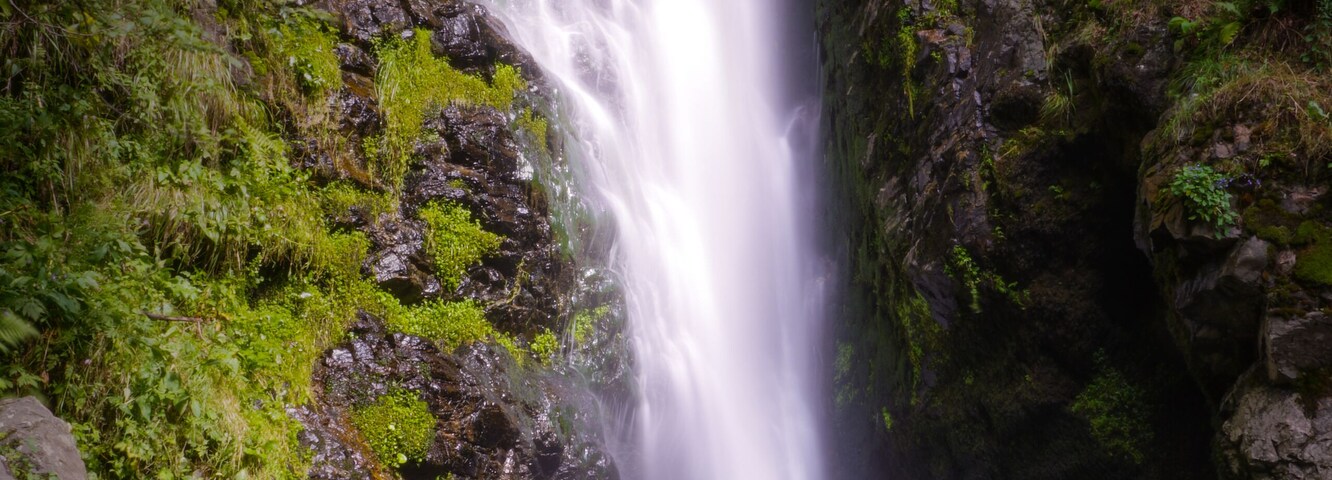 A waterfall cascading over rocks in a lush, green forest.