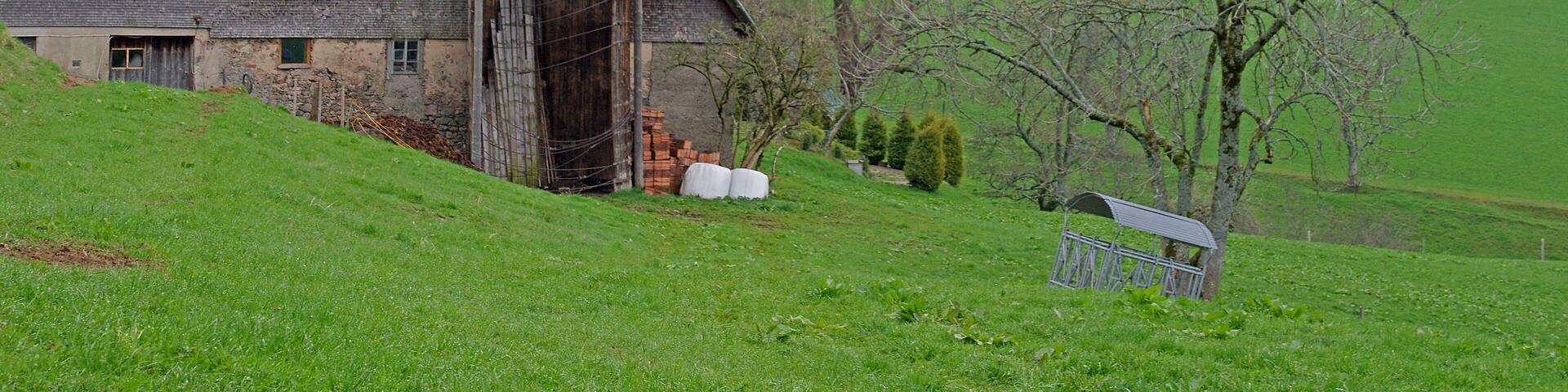 The Black Forest house(German: Schwarzwaldhaus) is a byre-dwelling that is found mainly in the central and southern parts of the Black Forest in southwestern Germany. It is characterised externally by a long hipped or half-hipped roof that descends to the height of the ground floor. This type of dwelling is suited to the conditions of the Black Forest: hillside locations, broad tracks, high levels of snowfall and heavy wind loading. Individual farms, such as the Hierahofnear Kappel, which are still worked today, are over 400 years old. The Black Forest house is described by Dickinson as very characteristic of the Swabian farmstead type.