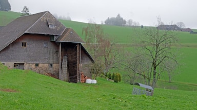 The Black Forest house(German: Schwarzwaldhaus) is a byre-dwelling that is found mainly in the central and southern parts of the Black Forest in southwestern Germany. It is characterised externally by a long hipped or half-hipped roof that descends to the height of the ground floor. This type of dwelling is suited to the conditions of the Black Forest: hillside locations, broad tracks, high levels of snowfall and heavy wind loading. Individual farms, such as the Hierahofnear Kappel, which are still worked today, are over 400 years old. The Black Forest house is described by Dickinson as very characteristic of the Swabian farmstead type.