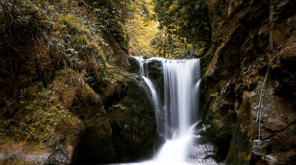 This beautiful waterfall is im Baden Baden in the Black Forest in Germany.
#nature
#nature photo contest