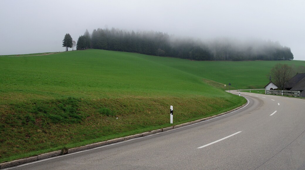 The fog ha.going over the woods makes the picture.