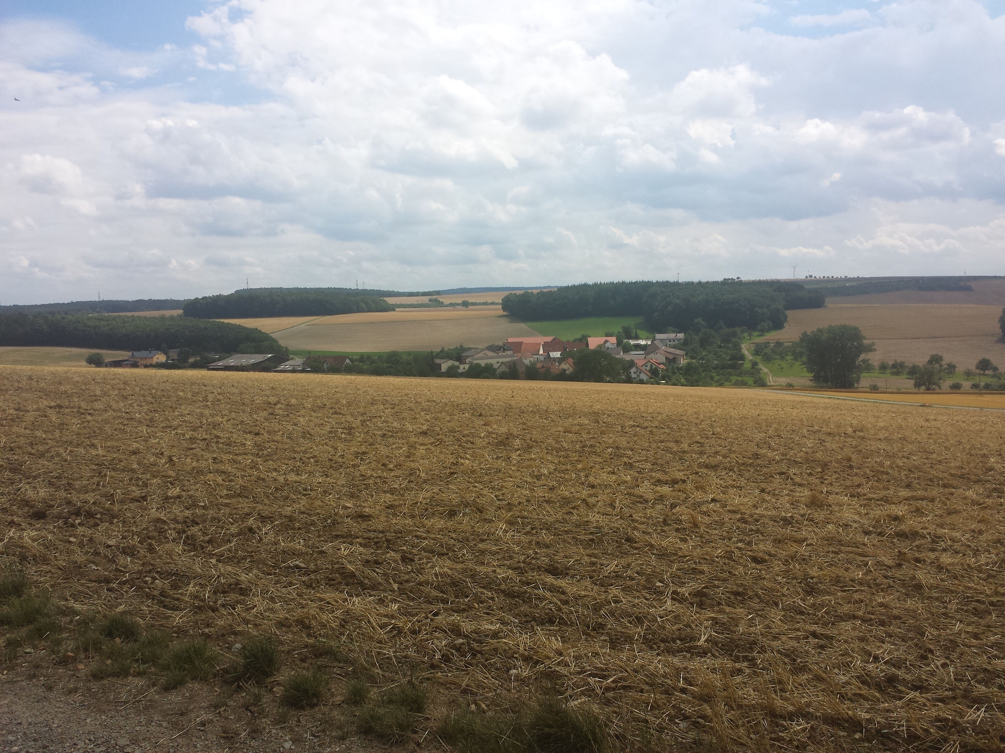 Zum Tauberbischofsheimer Stadtteil Dittigheim gehören das Dorf Dittigheim und der Weiler Hof Steinbach. Auf dem Bild ist Hof Steinbach zu sehen.