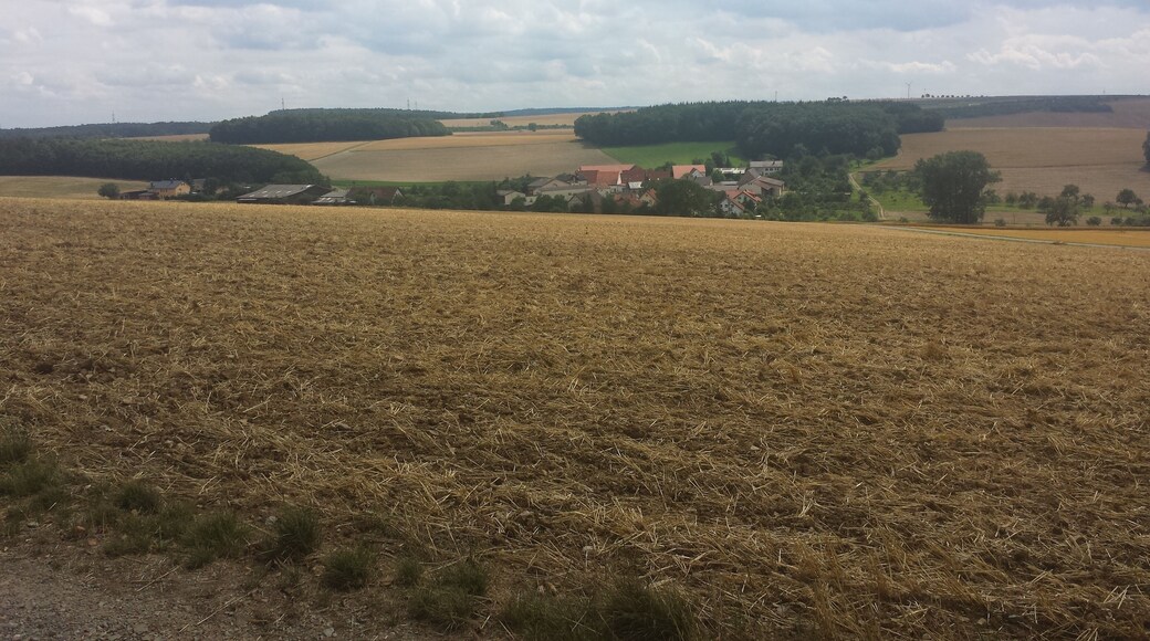 Zum Tauberbischofsheimer Stadtteil Dittigheim gehören das Dorf Dittigheim und der Weiler Hof Steinbach. Auf dem Bild ist Hof Steinbach zu sehen.