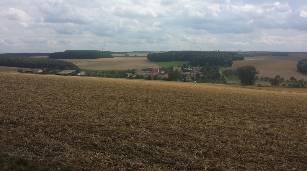 Zum Tauberbischofsheimer Stadtteil Dittigheim gehören das Dorf Dittigheim und der Weiler Hof Steinbach. Auf dem Bild ist Hof Steinbach zu sehen.