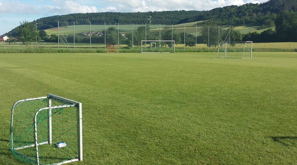 Blick auf einen Trainingsplatz des TSV Tauberbischofsheim. Der Trainingsplatz liegt am Taubertalradweg von Tauberbischofsheim nach Dittigheim.