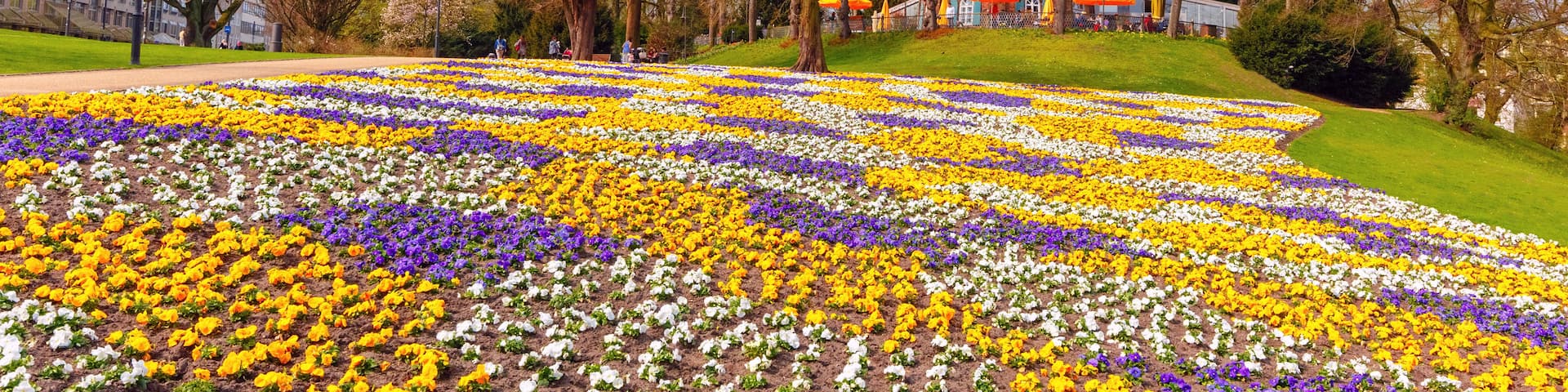 A windmill, a flower garden, and a building in the background.