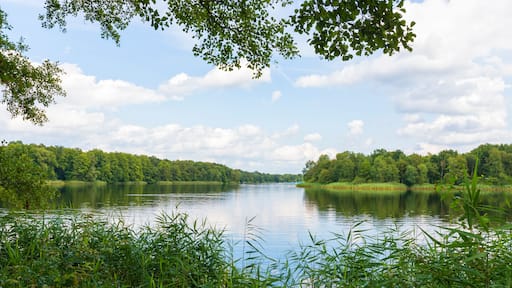 Lake Oyten, Lower Saxony, Germany