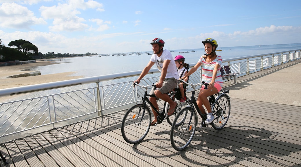 Family on a biking journey by the sea