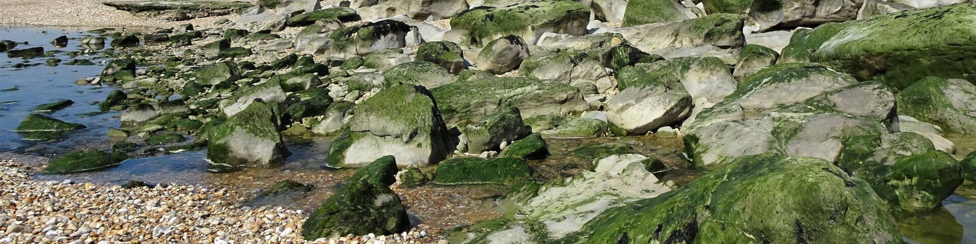 Fort Mahon, built in the 17th century by military engineer Vauban, still watches over the Ambleteuse beach. #OpalCoast #History