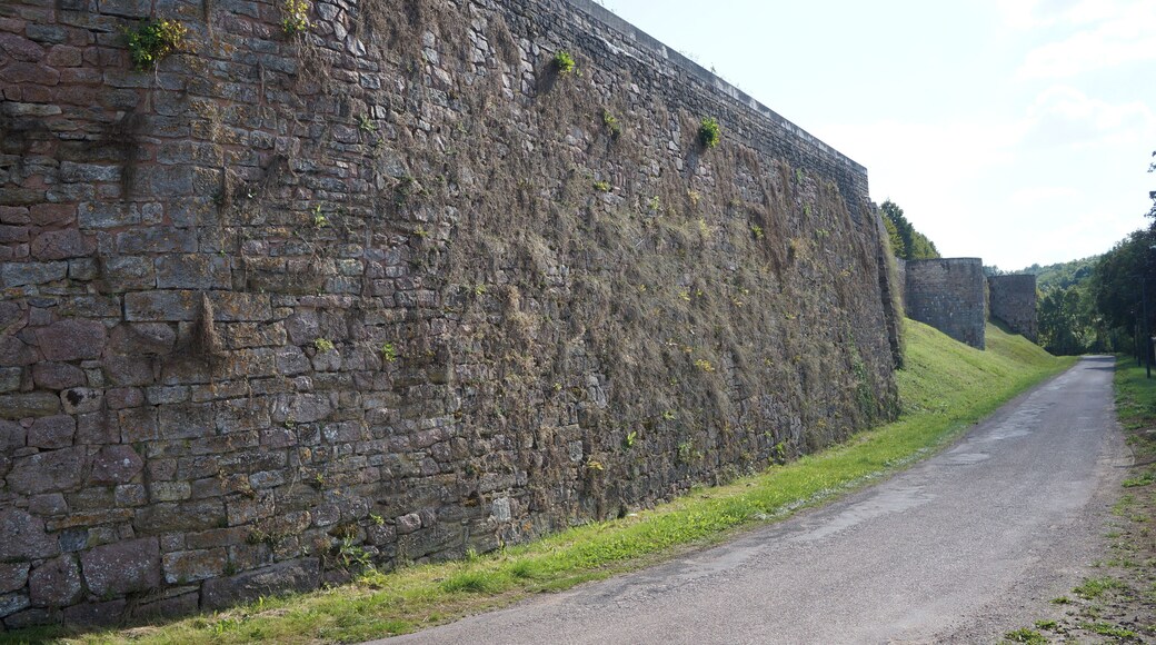 City walls Semur-en-Auxois Côte-d'Or Bourgogne-Franche-Comté