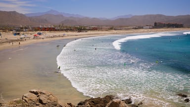Todos Santos featuring general coastal views, landscape views and a sandy beach