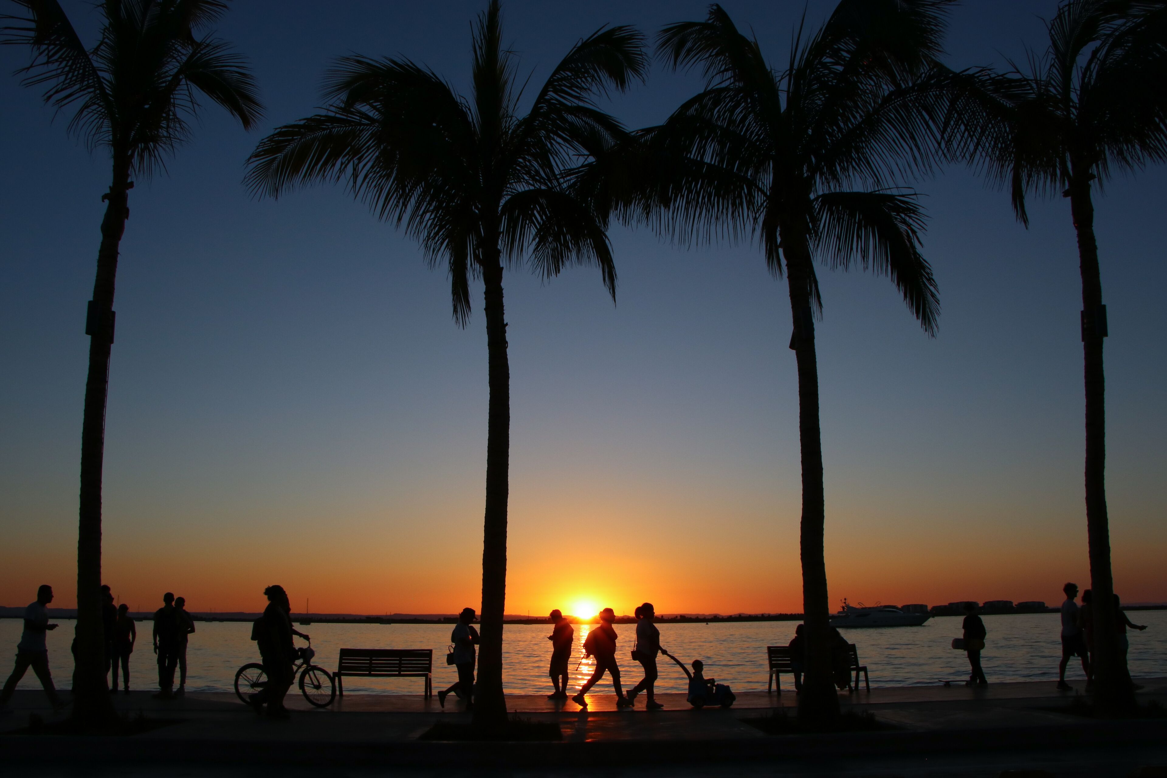 Silueta al atardecer de palmeras y personas caminando a lo largo de la costa.