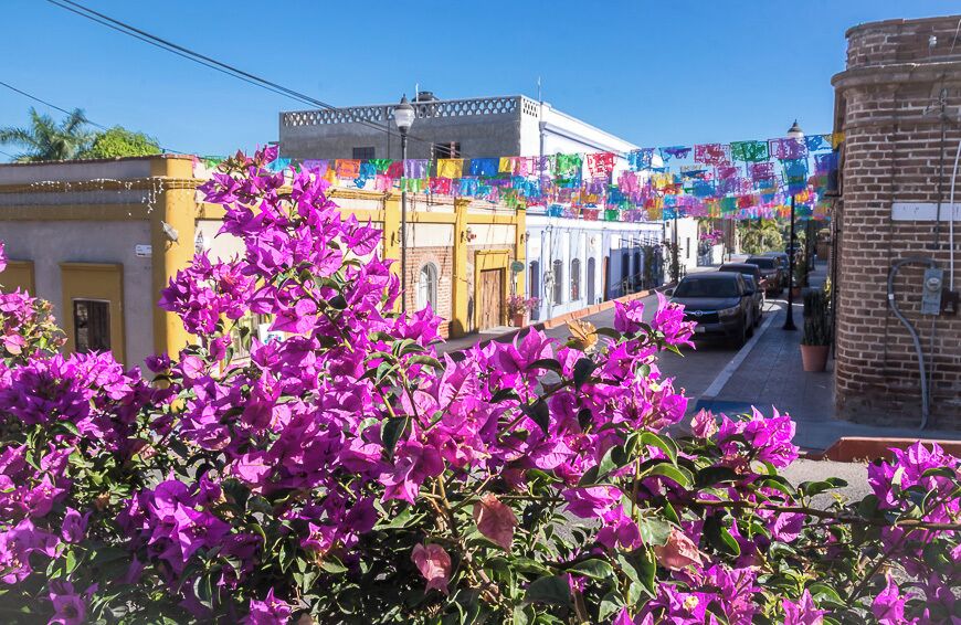 A quieter alternative to Cabo or La Paz - with lots of galleries, cafes, restaurants plus surfing nearby. A great place for newbie surfers to take a lesson.