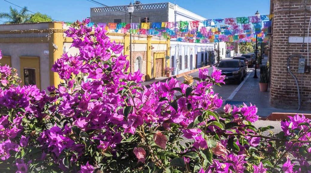 A quieter alternative to Cabo or La Paz - with lots of galleries, cafes, restaurants plus surfing nearby. A great place for newbie surfers to take a lesson.