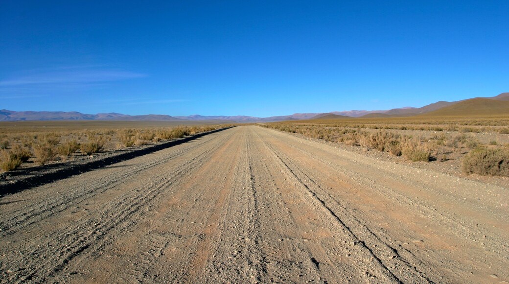 San Antonio de los Cobres