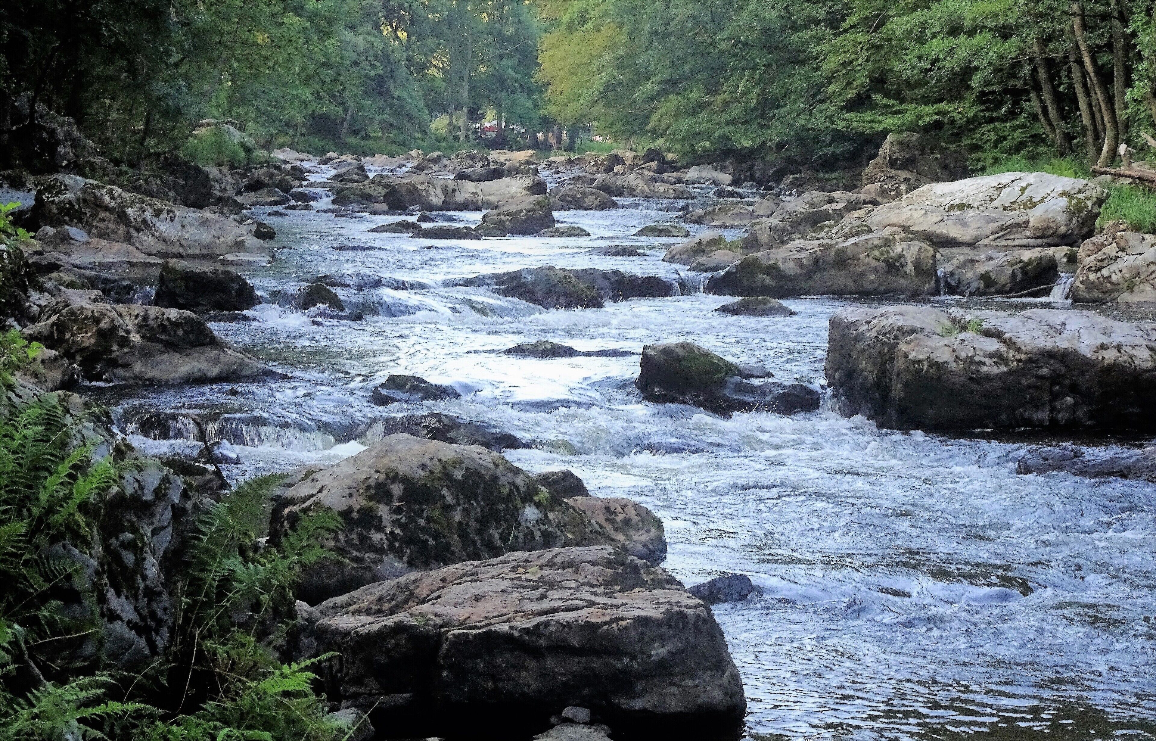 In the beautiful nature reserve of the Amblève lies an almost magical place, the “Fonds de Quarreux”. During a walk of 1.5 km along the river you will discover these mysterious rounded boulders. While digging its bed, the Amblève eroded the friable shale but left intact the (much harder) white-veined quartzite blocks.  #LocalSecrets  #Trovember