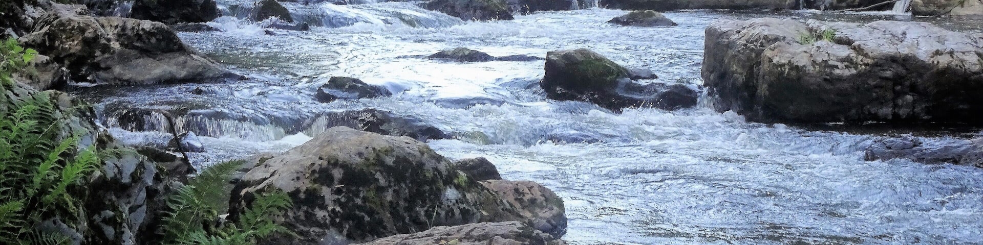 In the beautiful nature reserve of the AmblĂšve lies an almost magical place, the âFonds de Quarreuxâ. During a walk of 1.5 km along the river you will discover these mysterious rounded boulders. While digging its bed, the AmblĂšve eroded the friable shale but left intact the (much harder) white-veined quartzite blocks. #LocalSecrets #Trovember