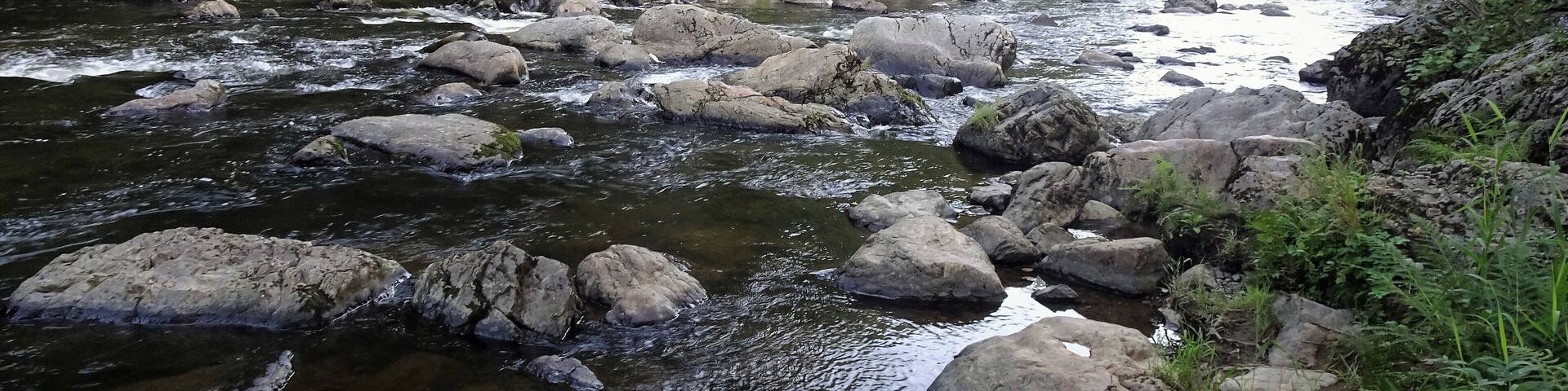 A river with large rocks and dense greenery along the banks.