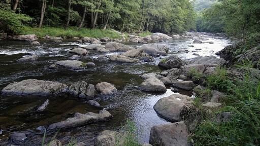 In the nature reserve of the Amblève lies a special place, the “Fonds de Quarreux”. During a walk of 1,5 km along the river you will discover these mysterious rounded boulders. While digging its bed, the Amblève eroded the friable shale but left intact the (much harder) white-veined quartzite blocks.