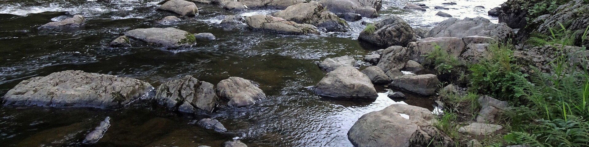 A river with large rocks and dense greenery along the banks.