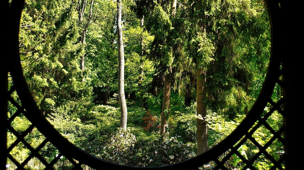 600 hectares de nature, barques romantique, jardins en folies. Des sentiers offrant surprises en tout genre ; vues panoramiques, cascades, rêveries, Mini-roulottes, Pagides chinoise et tant d'autres. Le calme absolu défini le Domaine de Chevetogne.