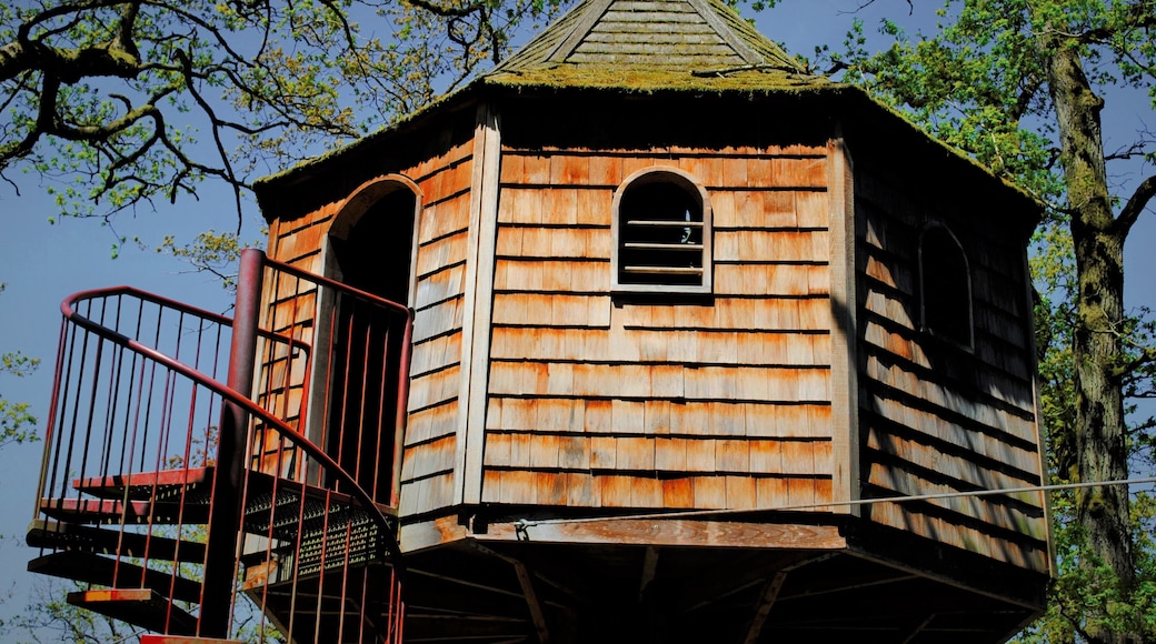 600 hectares de nature, barques romantique, jardins en folies. Des sentiers offrant surprises en tout genre ; vues panoramiques, cascades, rêveries, Mini-roulottes, Pagides chinoise et tant d'autres. Le calme absolu défini le Domaine de Chevetogne.