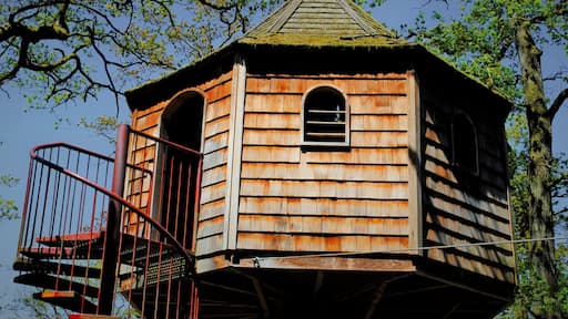 600 hectares de nature, barques romantique, jardins en folies. Des sentiers offrant surprises en tout genre ; vues panoramiques, cascades, rêveries, Mini-roulottes, Pagides chinoise et tant d'autres. Le calme absolu défini le Domaine de Chevetogne.