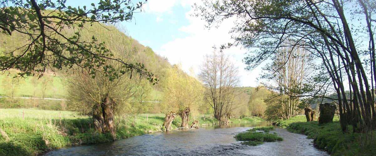A flowing river with surrounding greenery and trees.