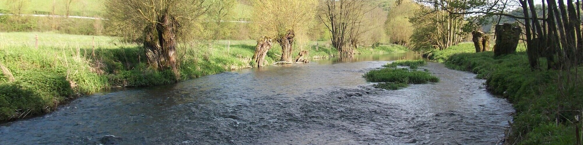 A flowing river with surrounding greenery and trees.