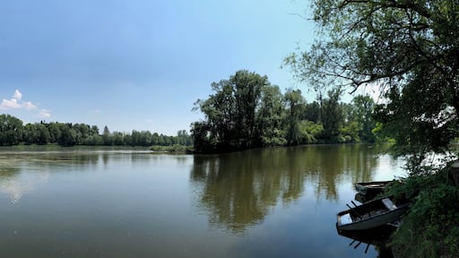English: Confluence of Rott (from the right) and Inn, on the opposite bank Schärding