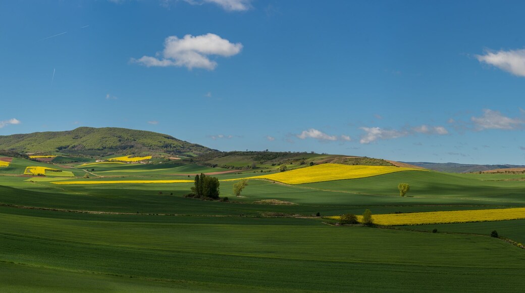 Santo Domingo de la Calzada