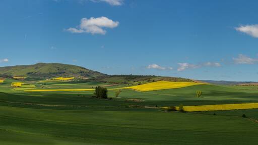 ์ฐํ ๋๋ฐ๊ณ ๋ฐ ๋ผ ์นผ์ฌ๋ค