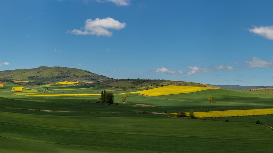 Santo Domingo de la Calzada