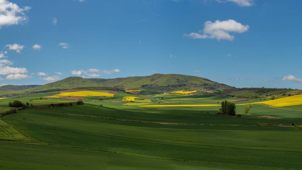 Beautiful agricultural landscape on the Way of St. James, Camino de Santiago between Ciruena and Santo Domingo de la Calzada in La Rioja, Spain