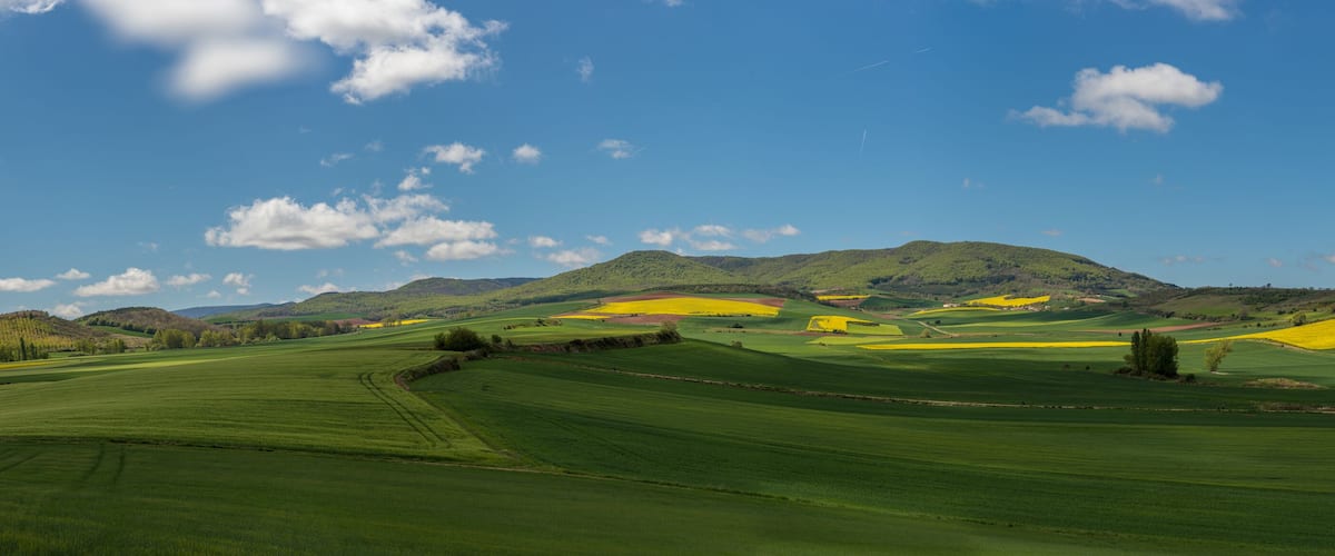 Rolling green fields, yellow crops, and distant hills under a clear blue sky.