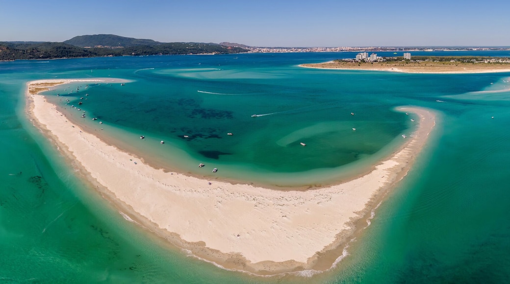 Aerial drone panoramic view of beautiful sandy beaches stretching along the coastline of Troia, Portugal, as turquoise waters glisten under the bright sun