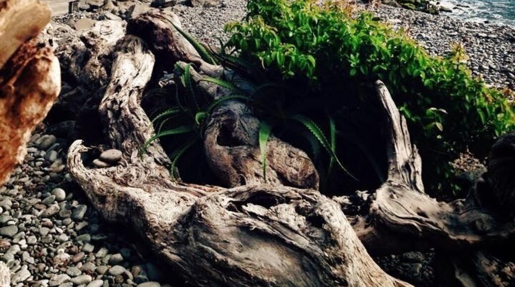 Fajã dos Padres - Madeira Island
🏖 Europe's Leading Island Destination 2016
🏖 World's Leading Island Destination 2015
🏖 Europe's Leading Island Destination 2014
🏖 Europe's Leading Island Destination 2013