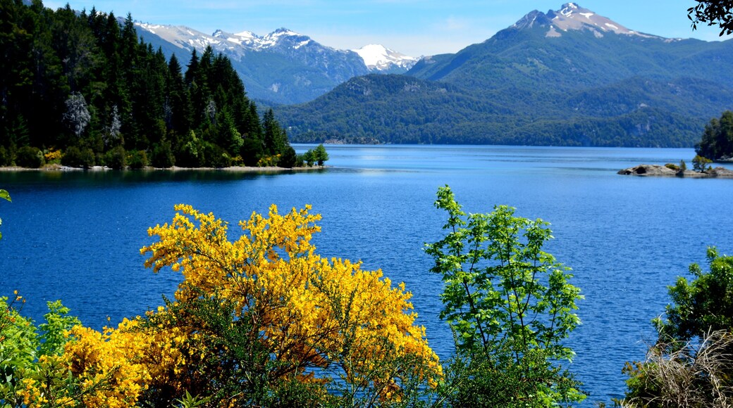 Vista desde Isla Victoria, Bariloche, Argentina
