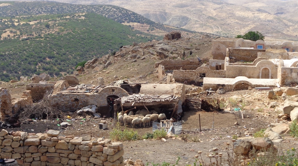 Berber Village of Zriba El Alia
Absolutely mind blowing. Such a different way of life. A true eye opener.
"Once in a while it really hits people that they don't have to experience the world in the way they have been told to."- Alan Keightley