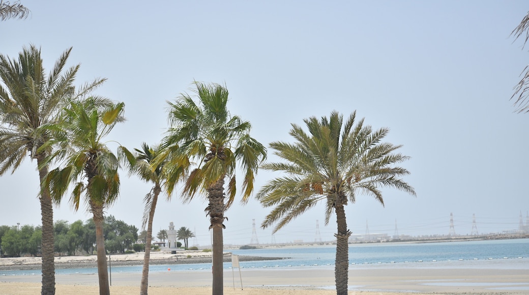 After driving for about 90 minutes from Abu Dhabi city along E11, the arterial highway, you can reach Al Mirfa Beach.