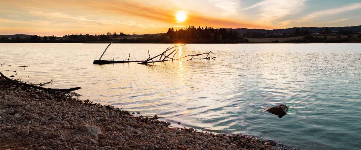 A sunset over a calm lake with a rocky shoreline and a fallen tree in the water.