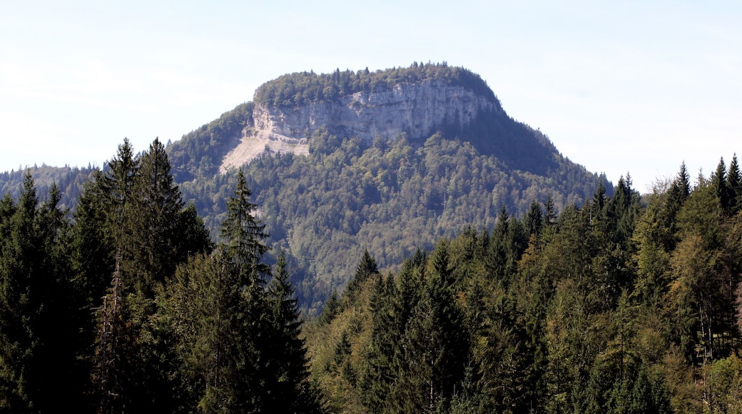 Le Mont Fier à Prémanon (Jura).