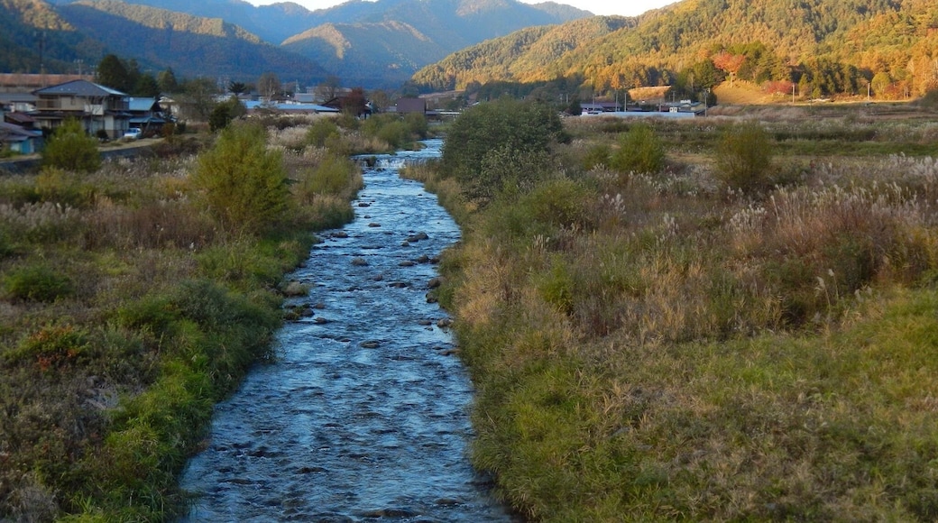 Kaidakogen Nishino, Kiso, Kiso District, Nagano Prefecture 397-0302, Japan